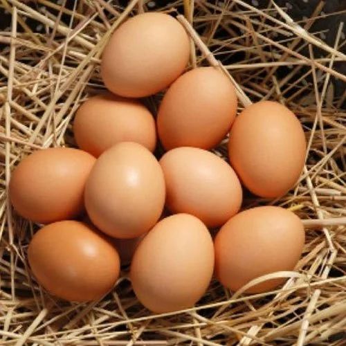 Brown Eggs