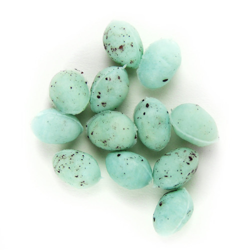 Bird Eggs