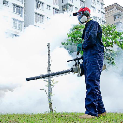 Termite & Pest Control Services