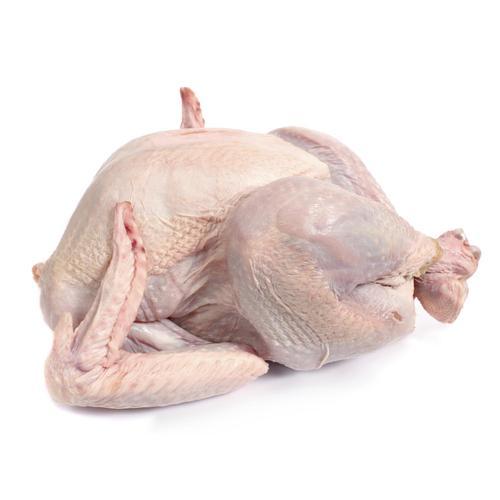 Turkey Meat