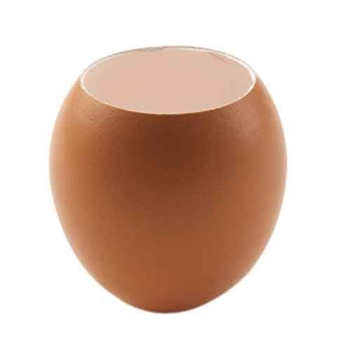 Egg Shell