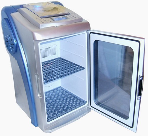 Mini Fridge