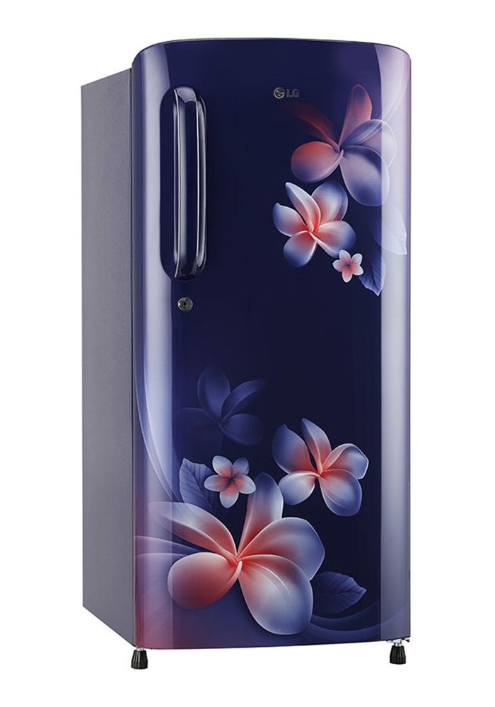 LG 190 L 4 Star Direct Cool Single Door Refrigerator (GL-B201ABPX, Blue Plumeria)