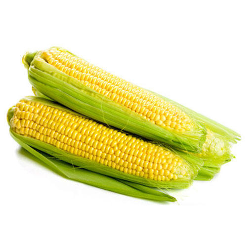 Sweet Corn