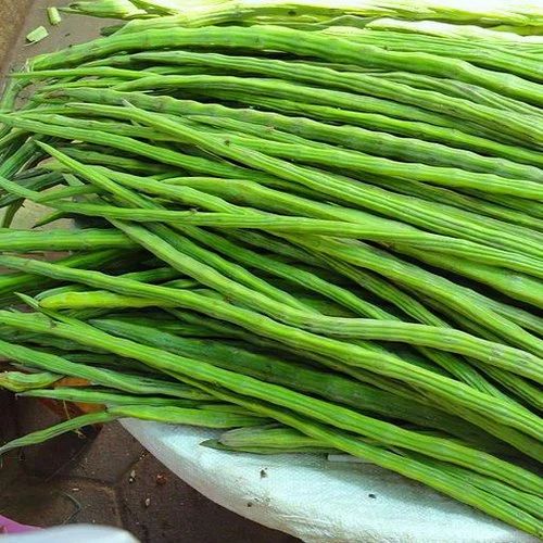 Drumstick Vegetable