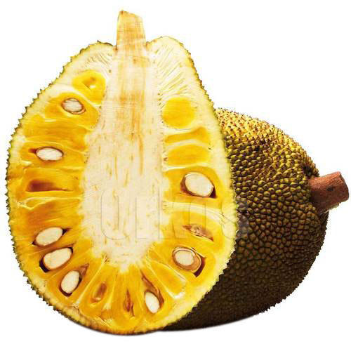 Jackfruit