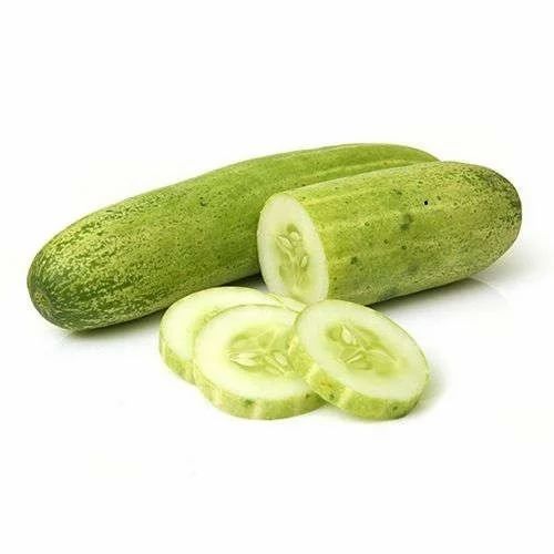 Cucumber