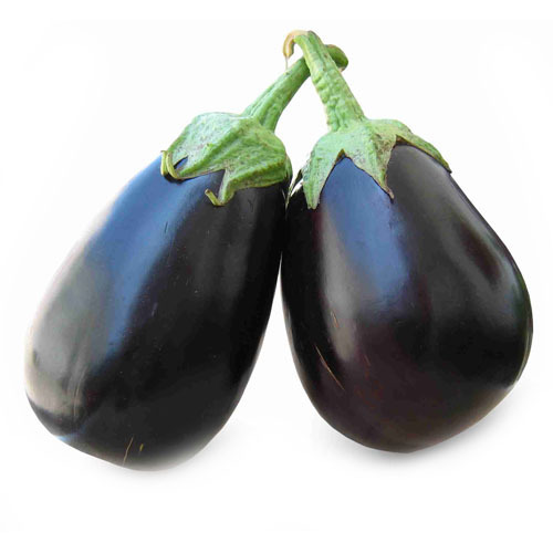Brinjal