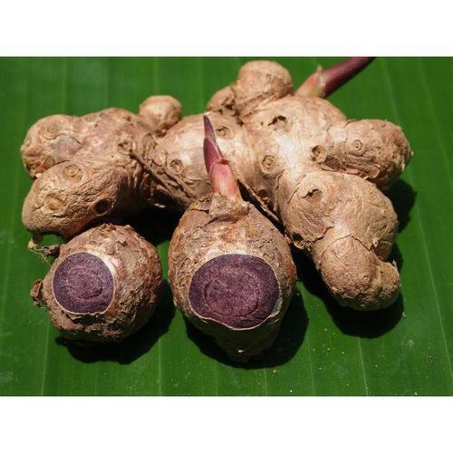 Black Ginger