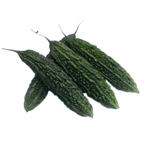 Bitter Gourd