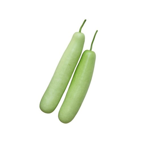 Bottle Gourd