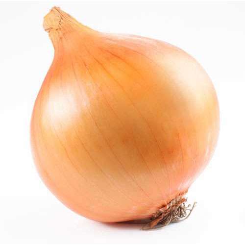 Yellow Onion
