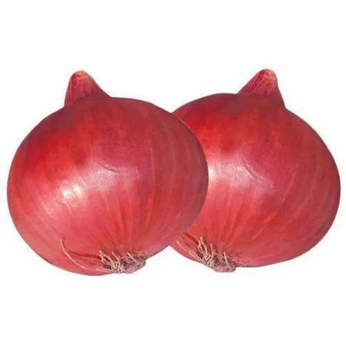 Organic Onion