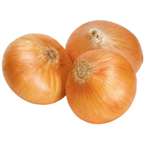 Brown Onion