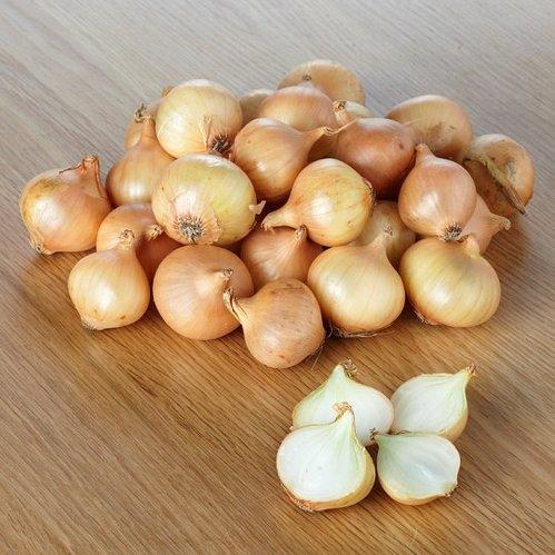 Baby Onions