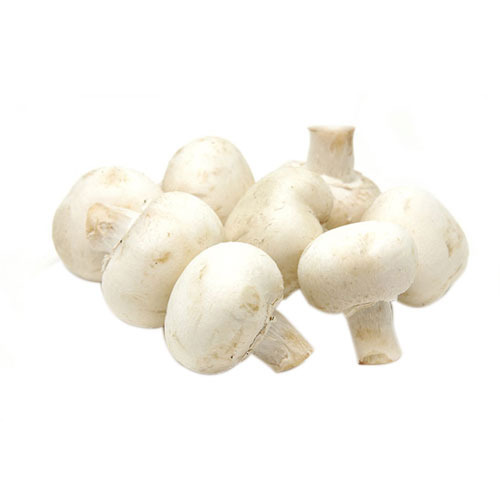 White Mushroom