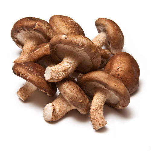 Shitake Mushroom