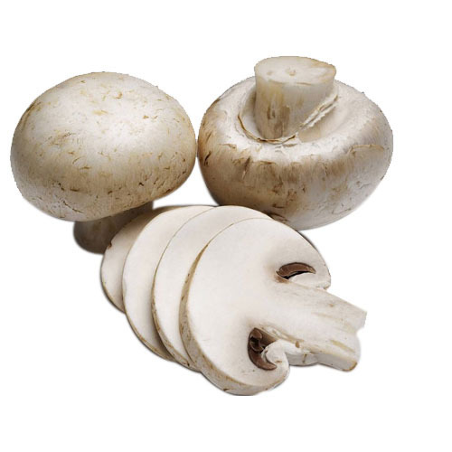 Mushroom Slice