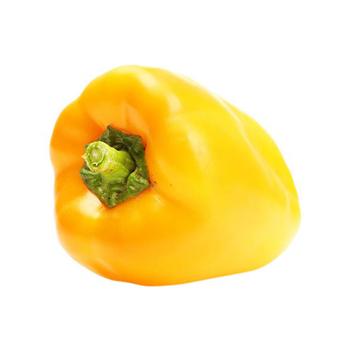 Yellow Capsicum