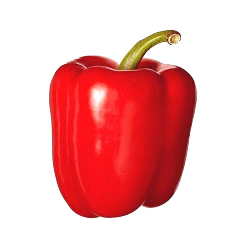 Red Capsicum