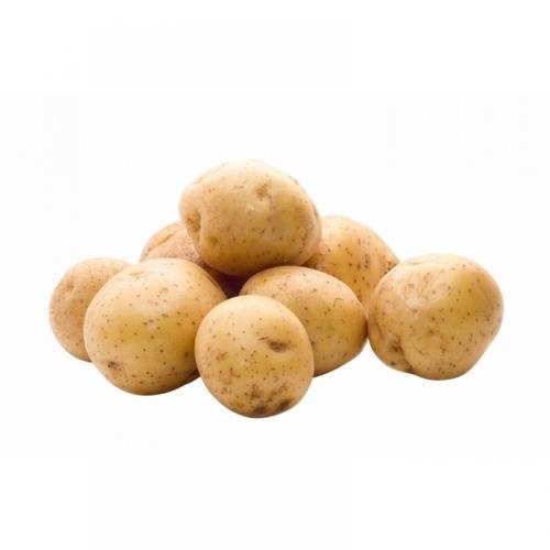 Sugar Free Potato