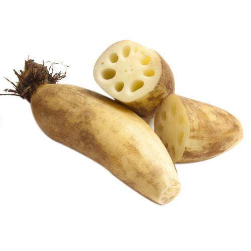 Lotus Root
