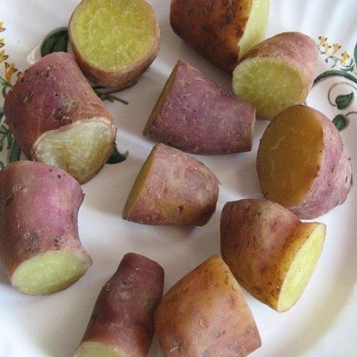 Boiled Sweet Potato