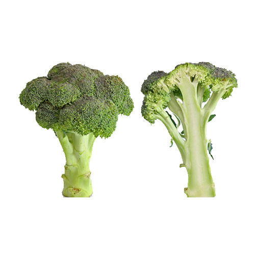Frozen Broccoli