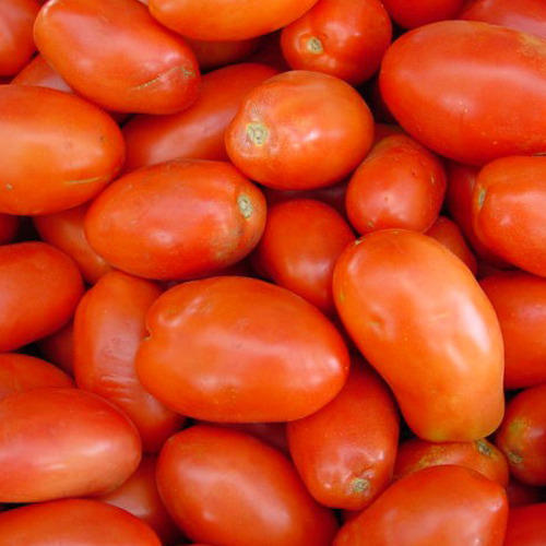 Frozen Tomatoes