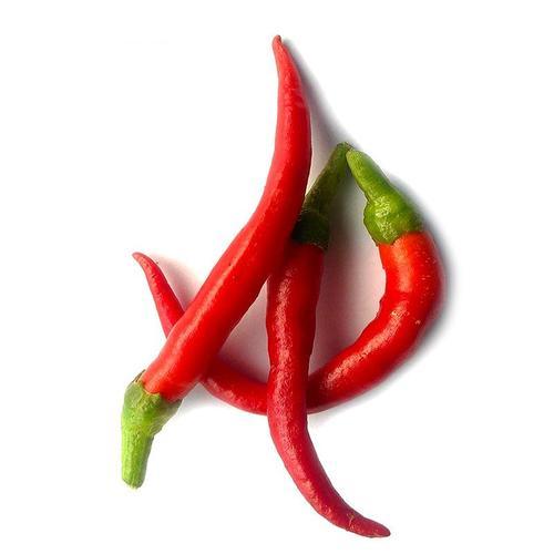 Bird Eye Chilli