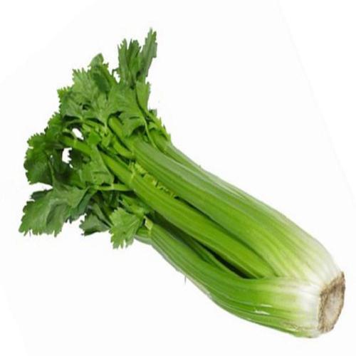 Celery