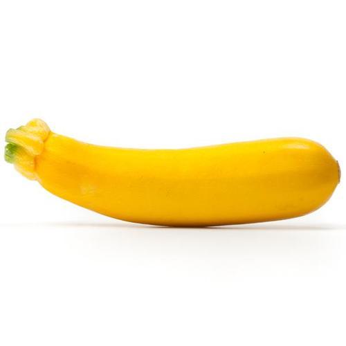 Yellow Zucchini