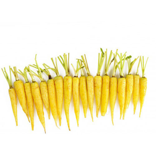 Yellow Carrots