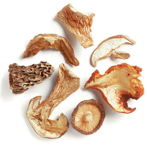 Dried Mushroom