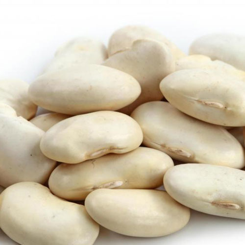 Lima Beans