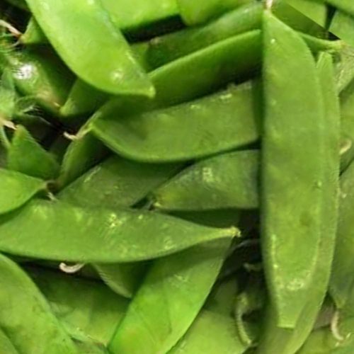 Hyacinth Beans