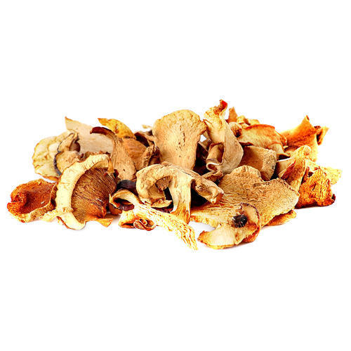 Dehydrated Mushroom