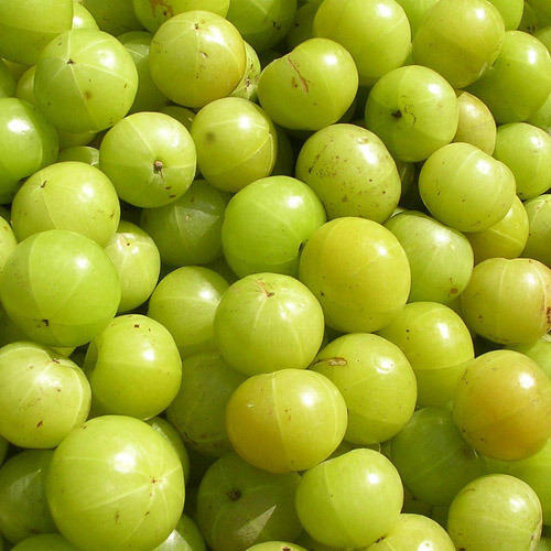 Amla