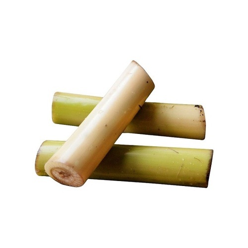 Banana Stem