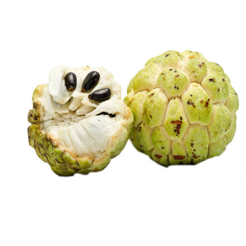 Custard Apple