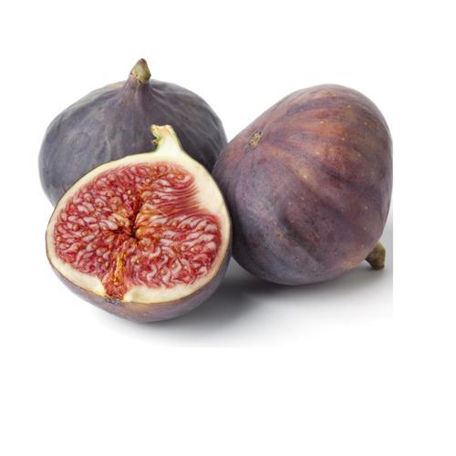 Fig