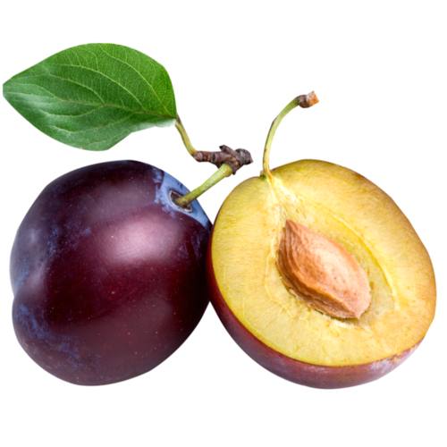 Plum
