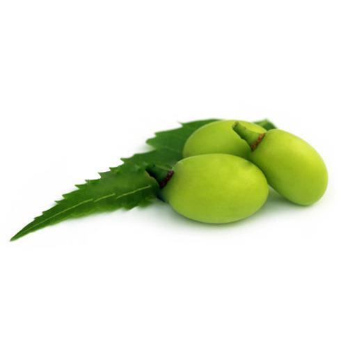 Neem Fruits