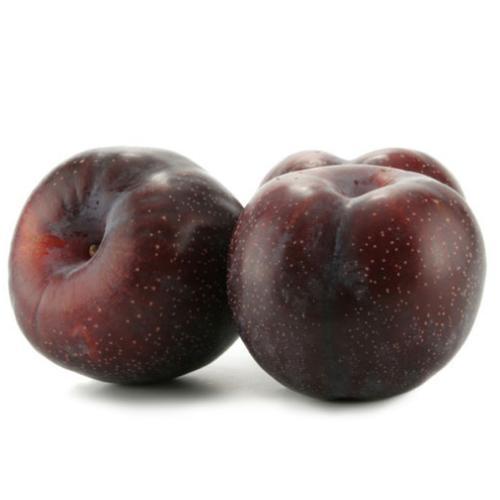 Black Plum