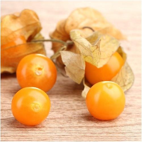 Peruvian Groundcherry