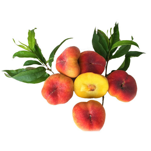 Subtropical Fruits