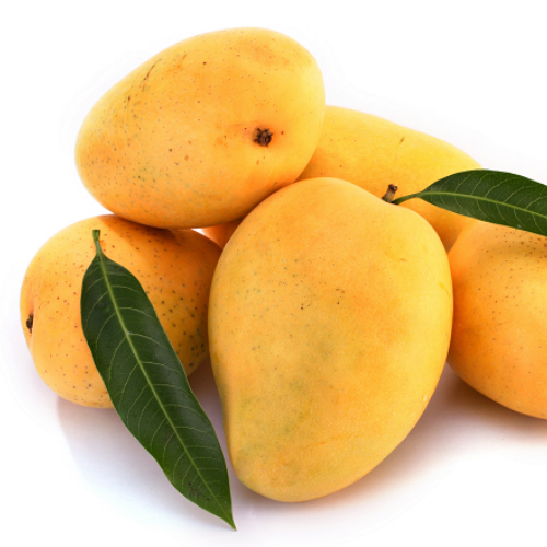 Alphonso Mangoes