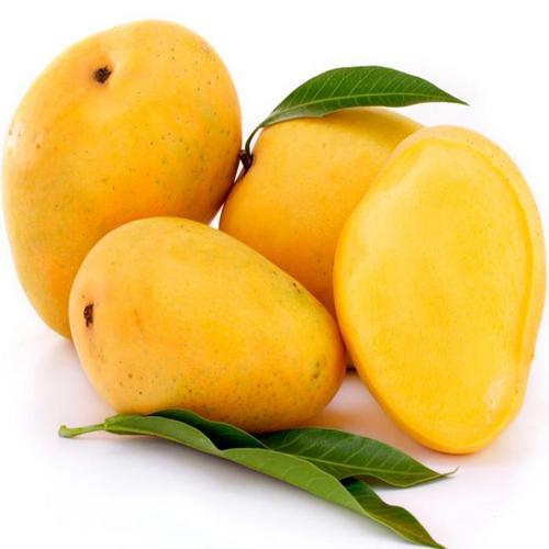 Totapuri Mangoes