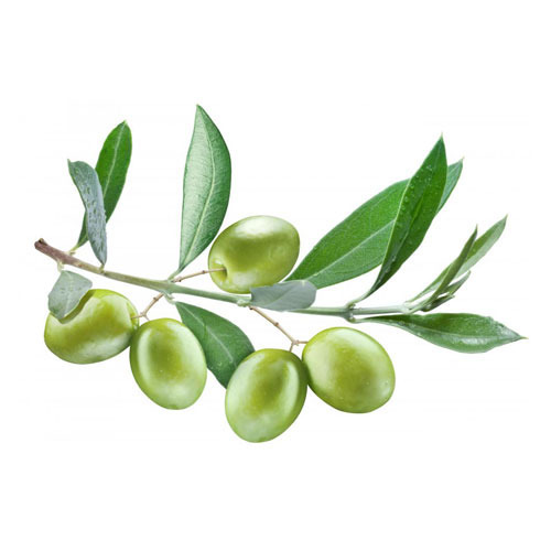 Olives