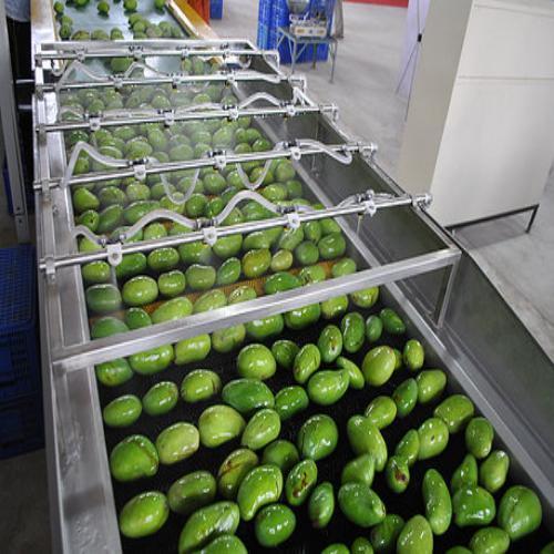 Mango Ripening Chamber